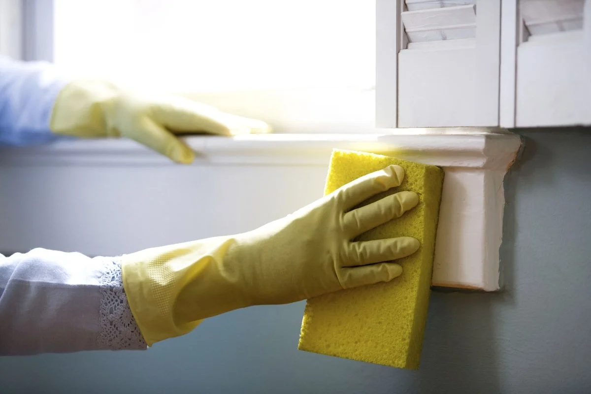 How To Create an Allergy-Friendly Home Environment
